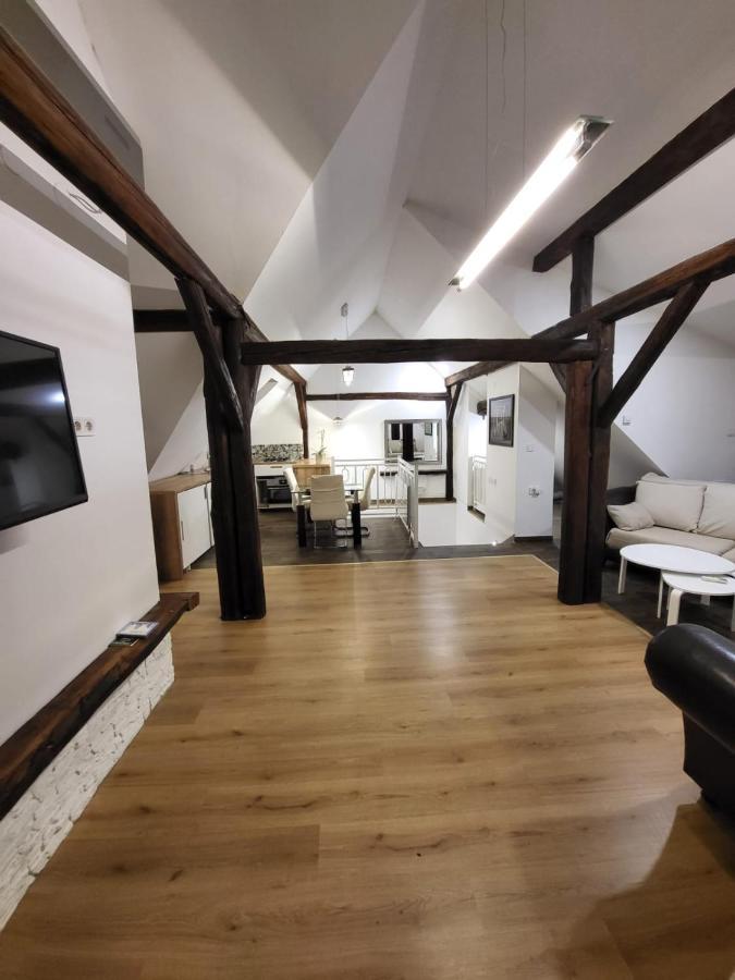 Apartmán Apartman Buzanova Záhřeb Exteriér fotografie
